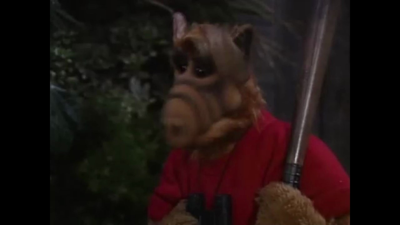 ALF Staffel 3 Folge 13 'Der Zeuge im Netz' #Deutsch #HD
