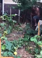 Your Smile Dose Part 30