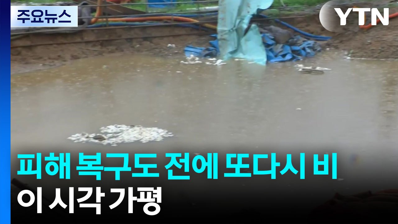 폭우 피해 복구도 전에 또다시 비...이 시각 가평 / YTN