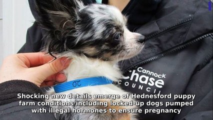 Express & Star Morning Update 6 August, 2025