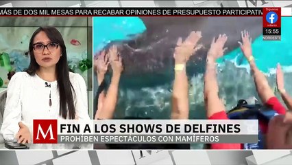Ley permite continuar nado con últimos delfines en cautiverio: Semarnat | Milenio Hábitat