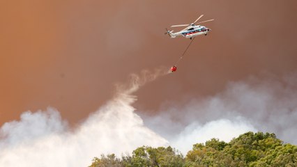 El incendio de Tarifa sigue activo y cientos de personas son desalojadas de hoteles y casas