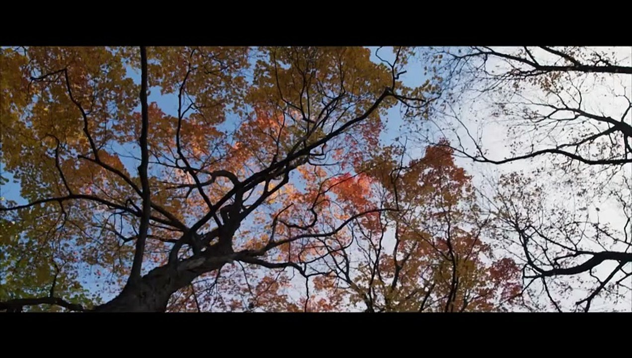 Dis-moi pourquoi ces choses sont si belles - Trailer