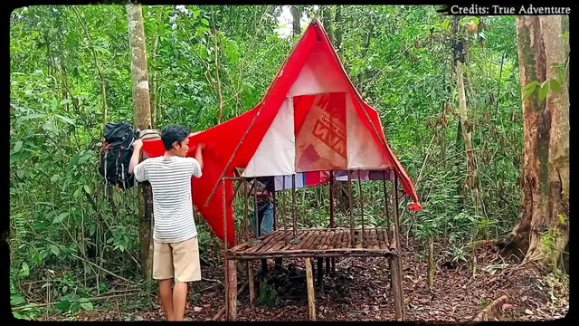 6 Camping Trips That Turned Into Nightmares—All Caught on Camera