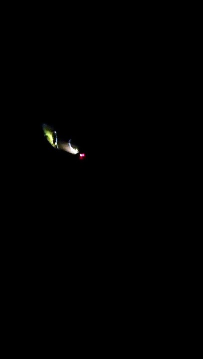 Rally notturni a Passo Gardena, un video documentate le corse. Casanova: ?Basta aggiungere, destrutturiamo le montagne?