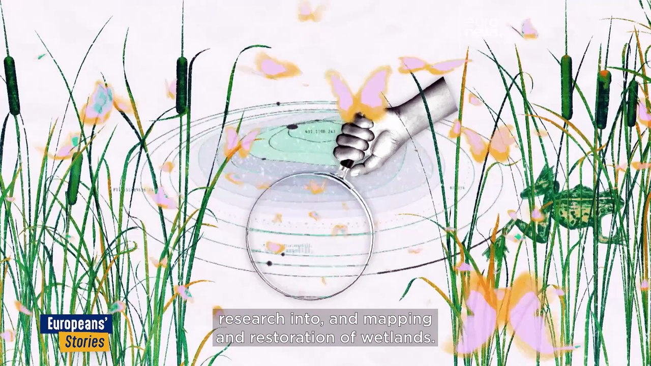 Renaturalisation of wetlands slows global warming and species decline