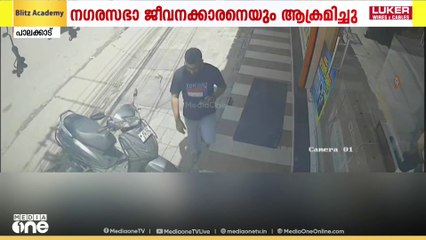 പട്ടാമ്പിയിൽ തെരുവുനായ ആക്രമണം;നഗരസഭാ ജീവനക്കാരനെയും ആക്രമിച്ചു
