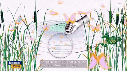 Renaturierung von Feuchtgebieten bremst Erderwärmung und Artenschwund