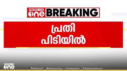 പത്തനംതിട്ട പുല്ലാട് ഭാര്യയെ  കൊലപ്പെടുത്തിയ കേസിൽ  പ്രതിയെ പിടികൂടി...