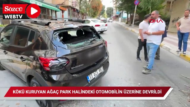 Avcılar'da kökü kuruyan ağaç park halindeki otomobilin üzerine devrildi