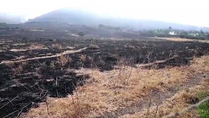 El incendio en Tarifa obliga a evacuar a 1.500 personas mientras continúa el aviso por emergencia 1