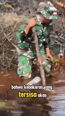 1098 Ha Lahan Terbakar di Rohil, Pangdam I/BB: Semua Pihak All Out Atasi Karhutla