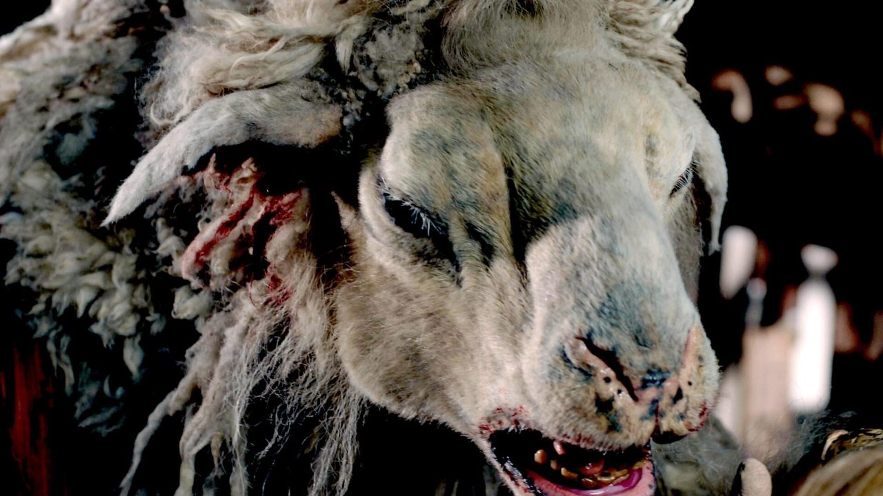 Black Sheep