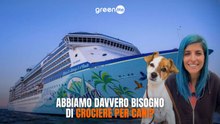 La prima crociera di lusso per cani sta per salpare