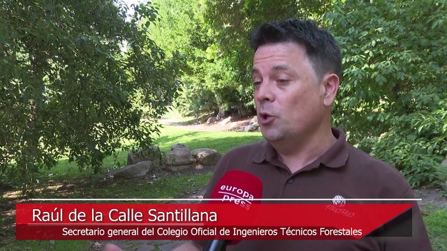 Las olas de calor intensifican la aparición de incendios forestales