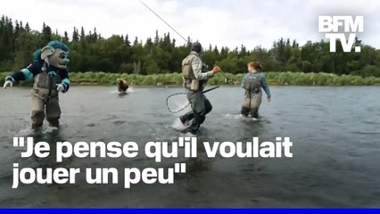 Un grizzli charge la mascotte de l'équipe de hockey sur glace des Seattle Kraken