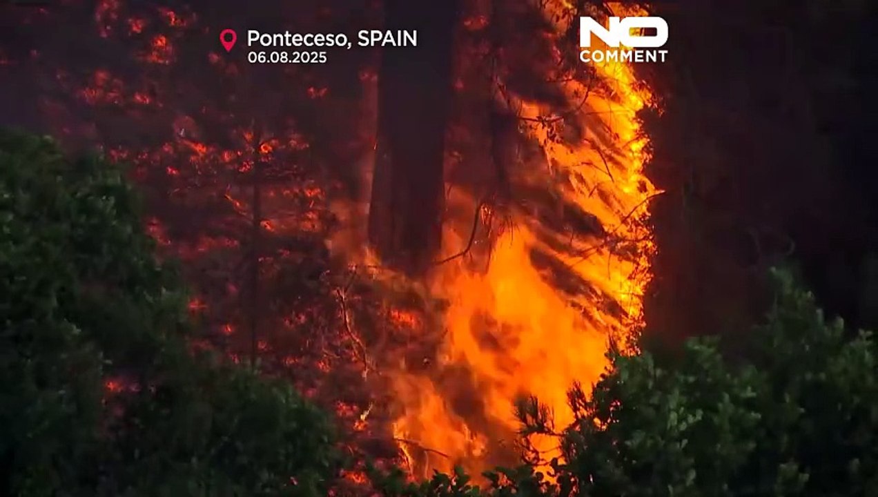 Neue Waldbrände zwingen zu Evakuierungen in Nordspanien