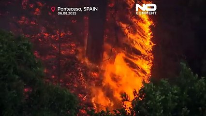 İspanya'nın kuzeyindeki yeni orman yangınları tahliyelere sebep oldu