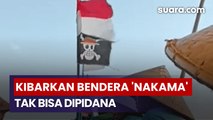 Pengibar Bendera One Piece Tak Bisa Dipidana, Dosen Dosen Paparkan UU-nya