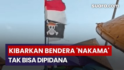 Pengibar Bendera One Piece Tak Bisa Dipidana, Dosen Dosen Paparkan UU-nya