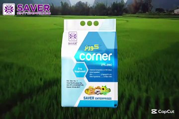 Best Zinc for Rice Crops | Boost Growth & Yield Naturally!