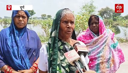 दुर्ग में कई एकड़ फसल नुकसान, किसान परेशान, पुलिया बंद करने से भरा पानी, खदान की मनमानी?