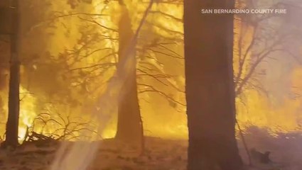 Dramatic video shows firefighters battling 991 acre wildfire in California