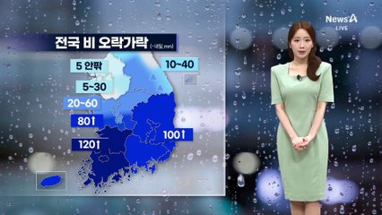 [날씨]밤사이 남부 집중 호우…시간당 30~50mm