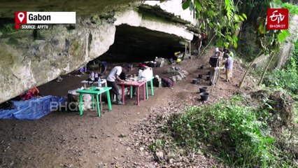 'A Puzzle Game': Archaeologists In Gabon Dig For Clues To Ancient Human Habitation