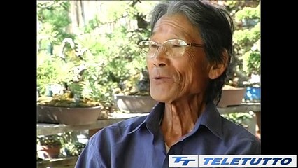 Video News - 80 anni dalla bomba atomica di Hiroshima
