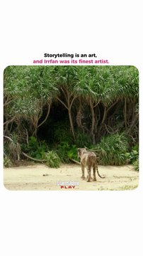 Only Irrfan could tell a story where a tiger on a lifeboat felt more real than the world we live in.❤️ #GlamSham #Bollywood #LifeOfPi #IrrfanKhan [ GlamSham, Bollywood, Life Of Pi, Irrfan Khan ]