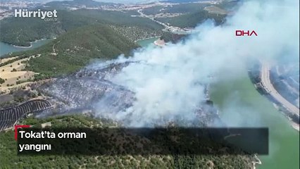Tokat'ın Erbaa ilçesinde orman yangını