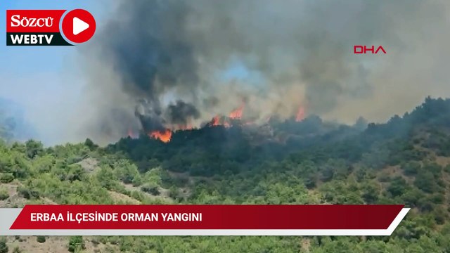 Erbaa ilçesinde orman yangını