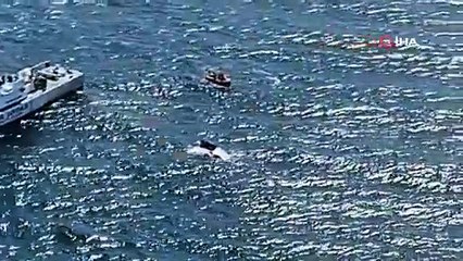 Ünlü İş Adamı Halit Yukay Marmara Denizi'nde Kayıplara Karıştı