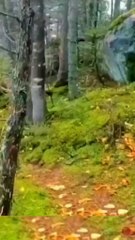 the ground moved as if breathing