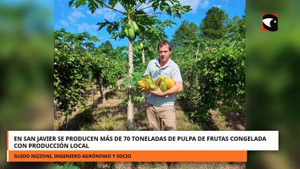 En San Javier se producen más de 70 toneladas de pulpa de frutas congelada con producción local