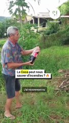 Utiliser du coca comme extincteur ?