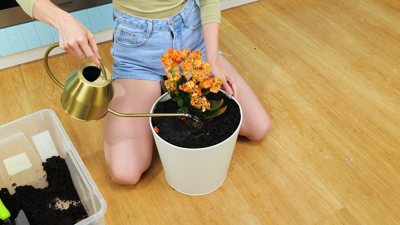 Level up your garden game with expert tricks 🚀🌿 #diy #hacks #gardening #tricks #gadgets #fyp