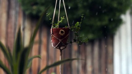 Relaxing Piano Music with Rain Sounds for Mindful Relaxation