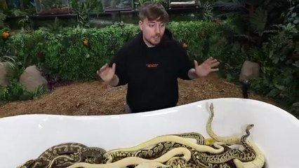 WOULD YOU SIT IN A TUB FULL OF SNAKES FOR $10,000 🤯 _ FT MR BEAST 😱