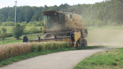 Agricoltura UE, produzione resistente nonostante le sfide globali