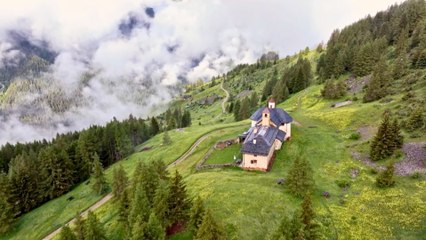 Des racines et des ailes