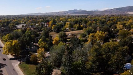 Avortement aux Etats-Unis : la grande fracture