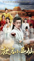 叶家沉冤录 & 救驾小医仙（65集）— 热门免费短剧🔥