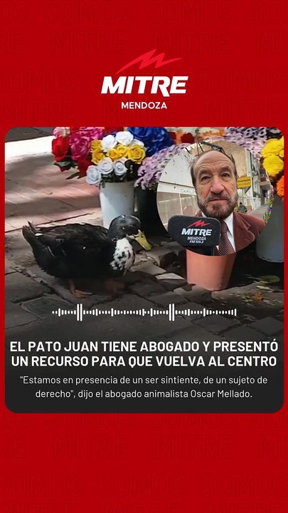 El abogado del Pato Juan rompe el silencio