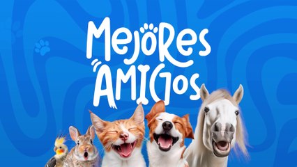 tn7-publireportaje-banco-popular-060825