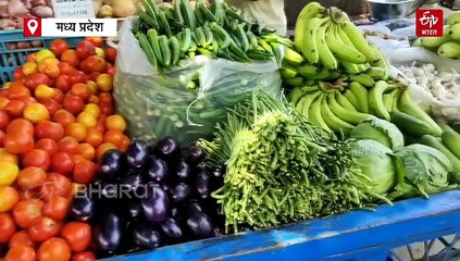 अब हरी सब्जियां खाना नहीं रहा आसान, टमाटर के दाम भी छू रहे आसमान, लौकी-गिलकी दिखा रही आंखें