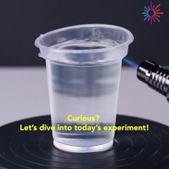 Curious? Let’s dive into today’s experiment!