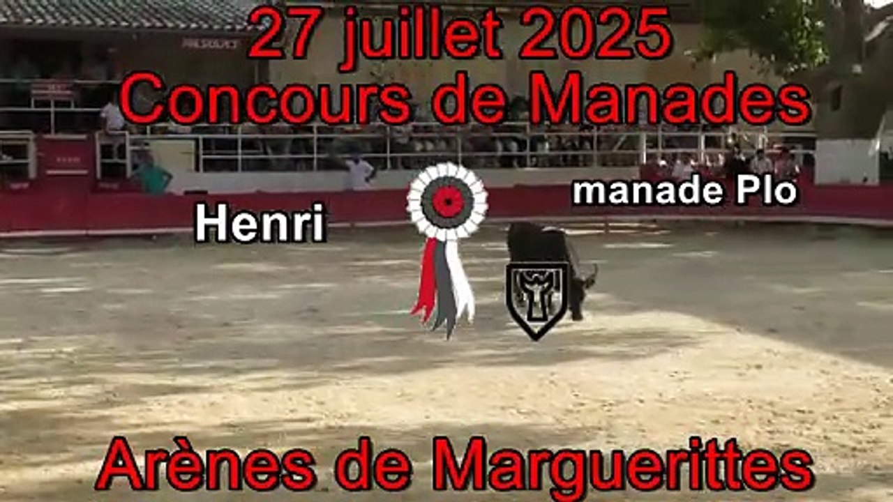2025 07 27 Henri