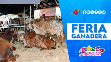 🐄 Tradición y unidad familiar brillan en la Feria Ganadera Agostina Internacional Managua 2025